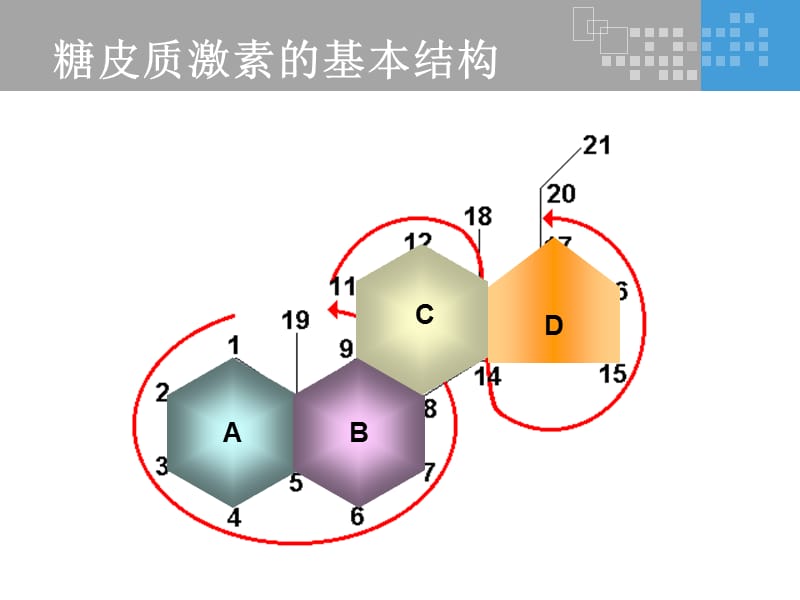 氟輕松是如何發(fā)揮其藥理作用的？